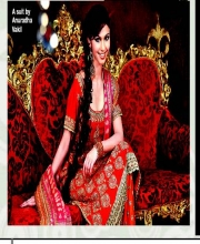 Anuradha Vakil's Collection
